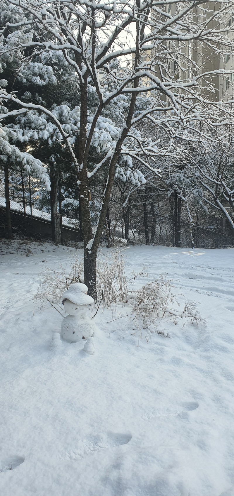 KakaoTalk_20230328_144922601.jpg