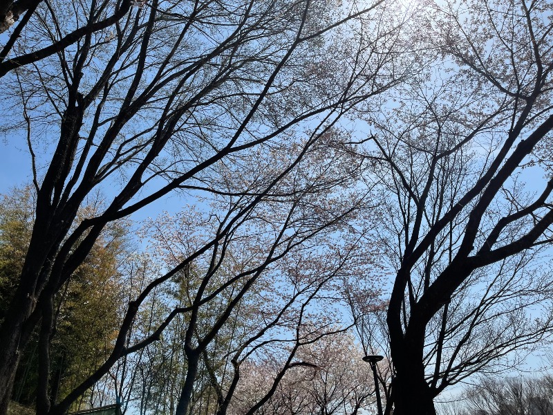 KakaoTalk_20230327_162710320.jpg